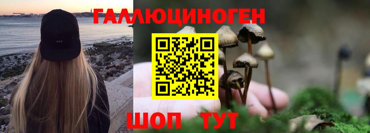 Псилоцибиновые грибы мицелий  Вход с VPN  Ростов Великий 